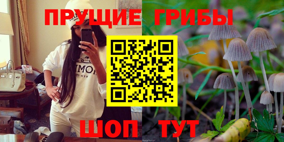 Галлюциногенные грибы Psilocybe  Вход с VPN  Новозыбков  Галлюциногенные грибы мухоморы 