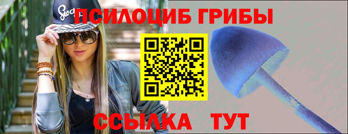 Галлюциногенные грибы Cubensis Новозыбков